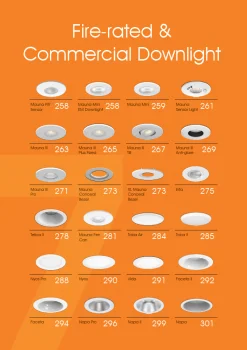 Amenity Exterior Luminaire