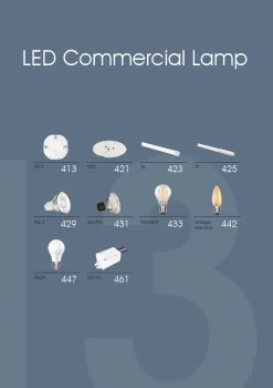 Amenity Exterior Luminaire