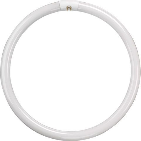 T9 Circular Tube - 22W