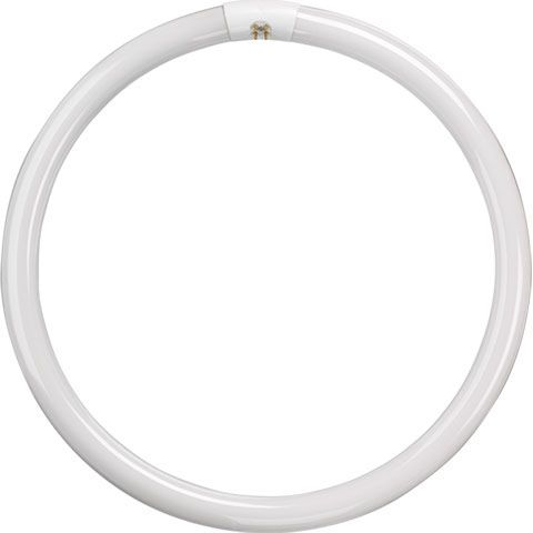 T9 Circular Tube - 32W 