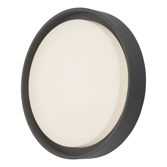 Dar Ralph Large Outdoor Wall Light Anthracite IP65 LED