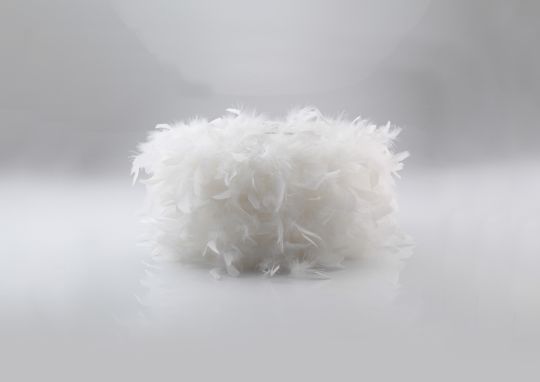 Diyas ILS10621 Arqus Feather Shade White 250mm x 180mm