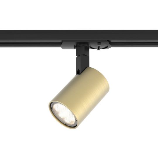 Astro Ascoli Track Track Light in Matt Gold