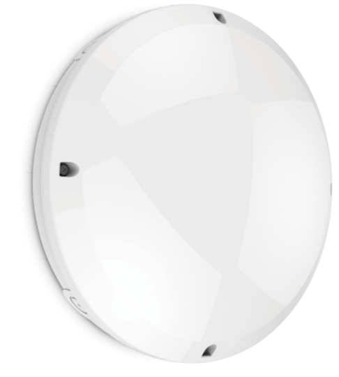 Blanca